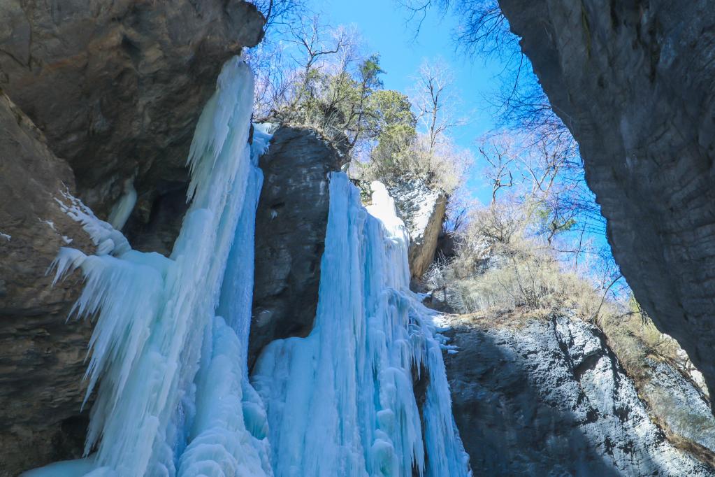 新春走基层 | 冰天雪地“冬”游热——甘肃文旅复苏一线见闻